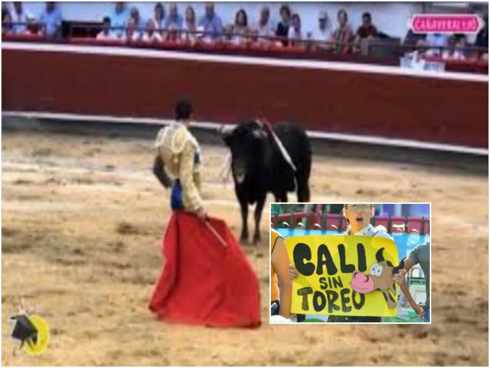 feria taurina en Cali