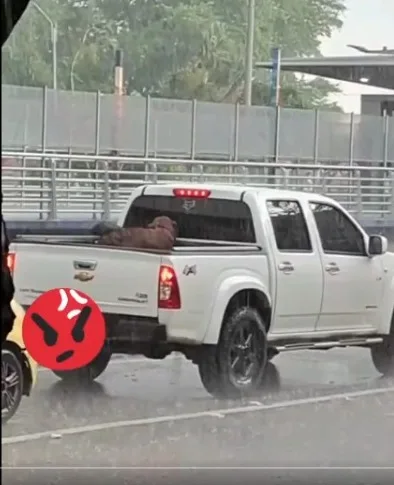 en medellín y cali