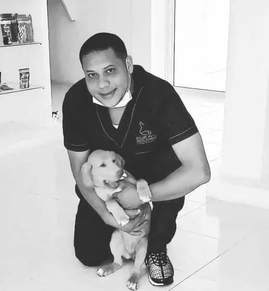 veterinario