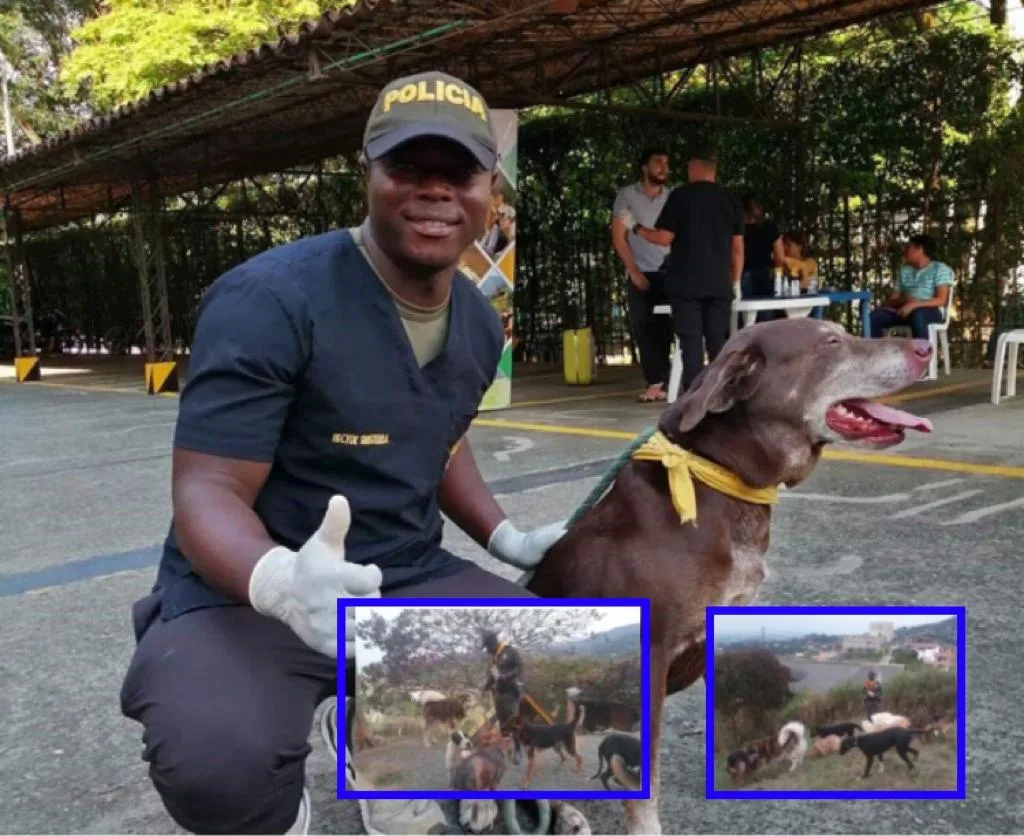 policía cali perros