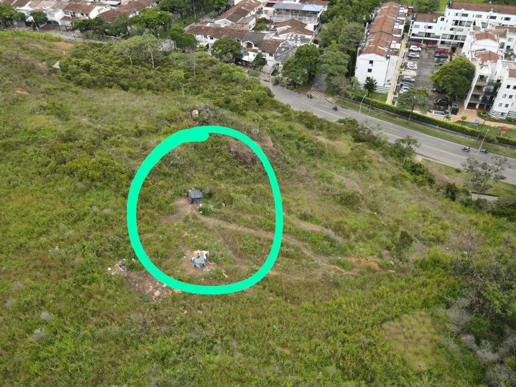 cero las banderas en cali