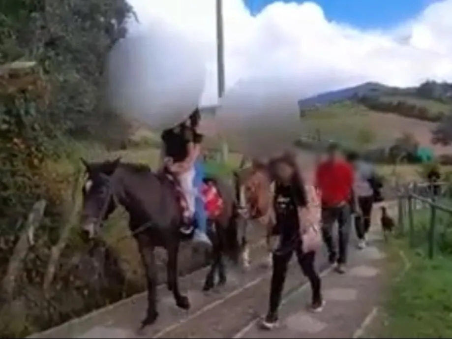 Cojeando y cansados: denuncian que caballos de turismo en Cabrera estarían enfermos y aún así los usan