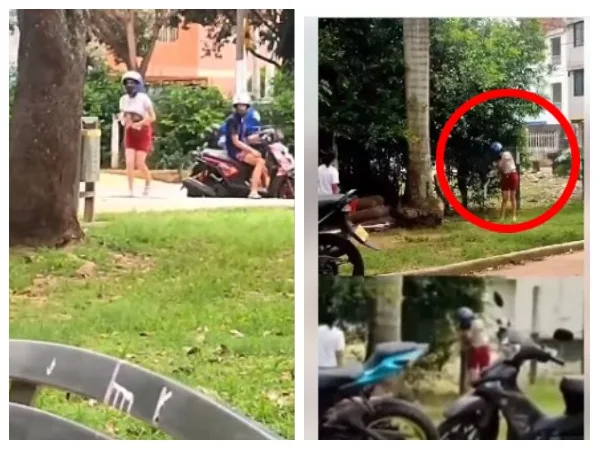 Pedían multa ejemplar "y se la dieron": millonada que pagará la mujer que abandonó y maltrató gatos en Bucaramanga