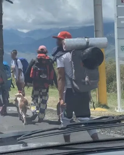 perros