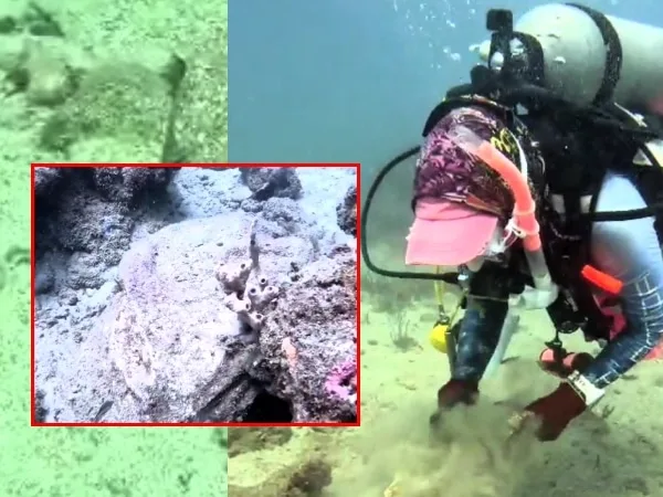 "Daño ambiental " Más de 100 costales con escombros fueron arrojados en reservas coralinas de Santa Marta