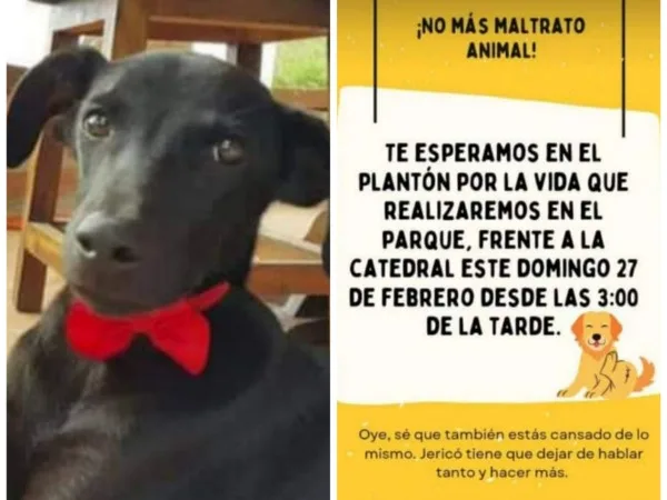 perro Toby Jericó Antioquia