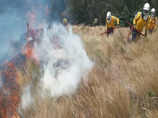 Cumbal 'ahogado' por incendios: ahora se quemaron 85 hectáreas de páramo y matorrales