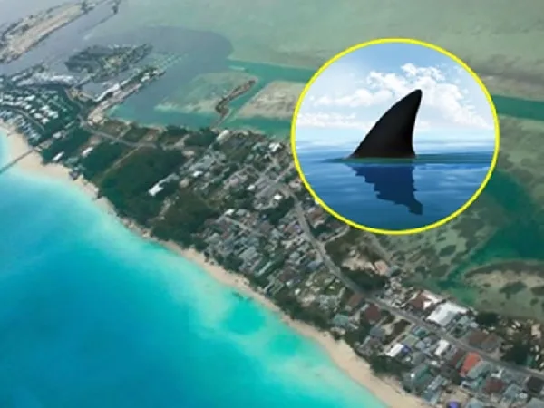 Turistas fueron mordidas por tiburón en las Bahamas.