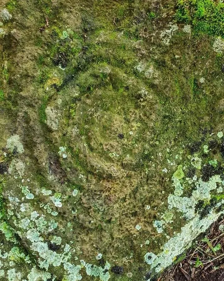 Hallazgo arqueológico Huila