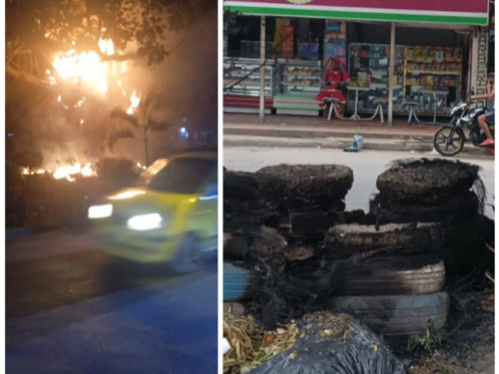 Otra Ceiba a la que le metieron candela en Cali