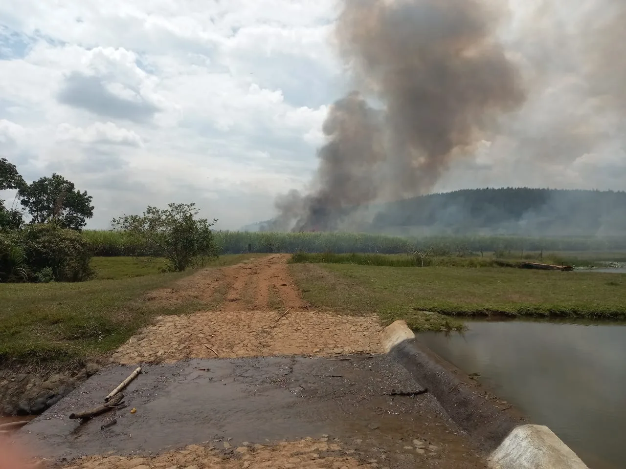 A reserva protegida de la Hacienda Japio, "le prendieron fuego", en Cauca