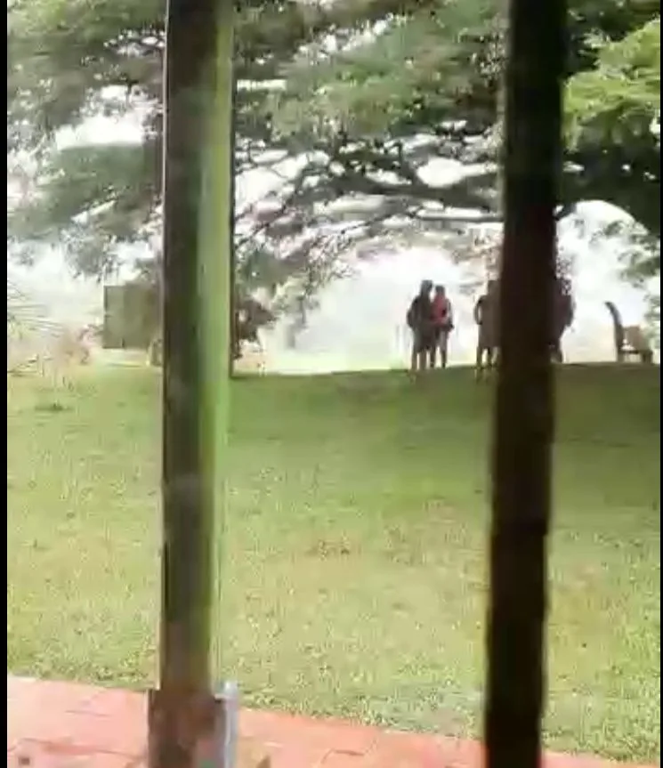 a la finca en Caldono.