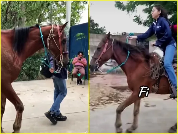 El profesor de la joven fue quien virilizó su historia en redes, al ver llegar la quinceañera en su bonito caballo