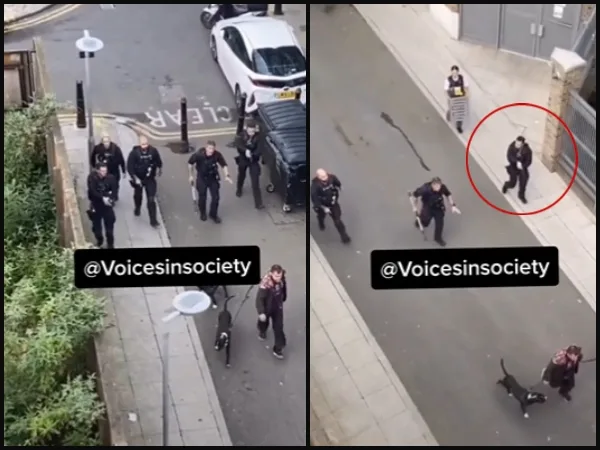 "Los policías deben pagar": los perros Marshall y Millions "fueron asesinados" y hay indignación en Londres