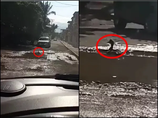 Le van a tapar 'el charquito' al pato en Cali, Alcaldía respondió sobre el hueco
