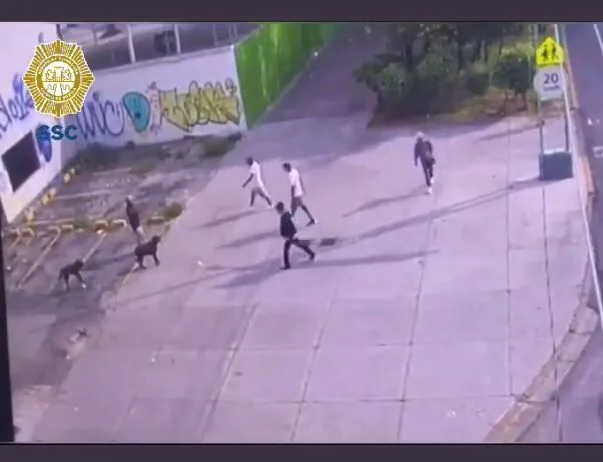 ¡Justicia para Zeus!, defendió a su humano de un asalto y el ladrón volvió para dispararle