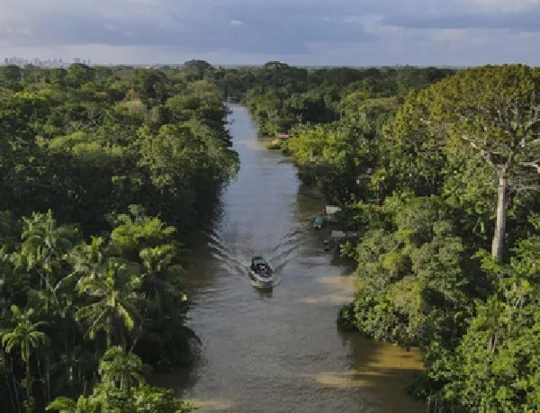 Por qué es tan importante cuidar la Amazonía.