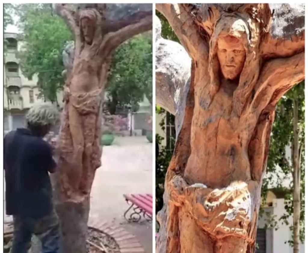Valledupar Cristo en un árbol