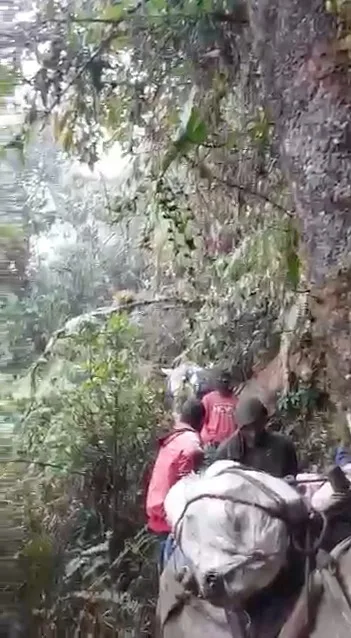 en Los Farallones de Cali