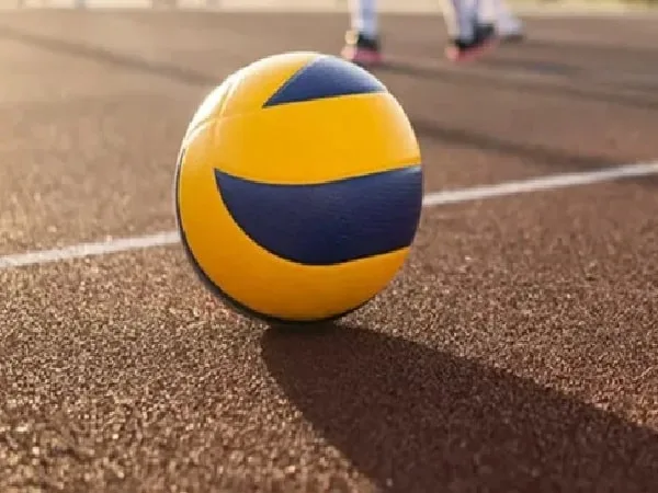 Pelota de voleibol.
