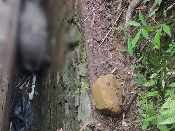 En Pance murió caballo que cayó a una zanja, el espacio era reducido y se le dificultaba respirar