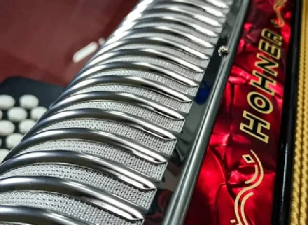 Acordeón, instrumento del vallenato.