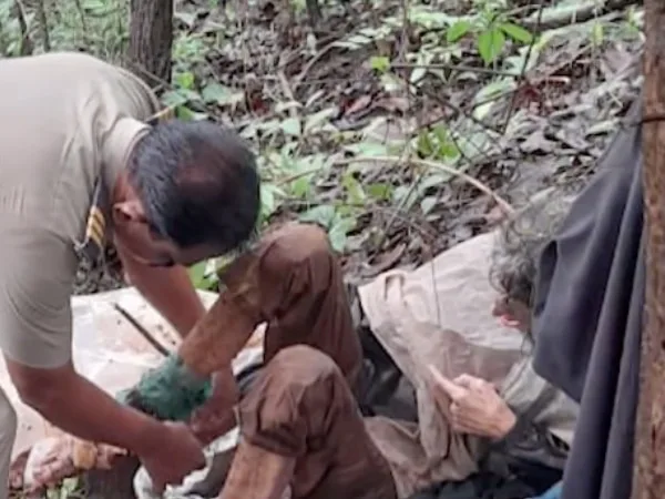 "40 días sin comer": Encuentran a un mujer de 50 años encadenada y desnutrida en una selva de India