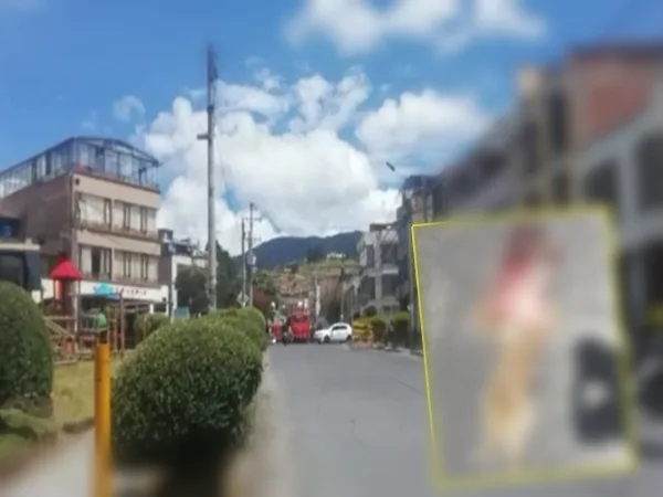 Siguen casos de maltrato animal en Pasto, vehículo arrolló a una mascota y le causo la muerte