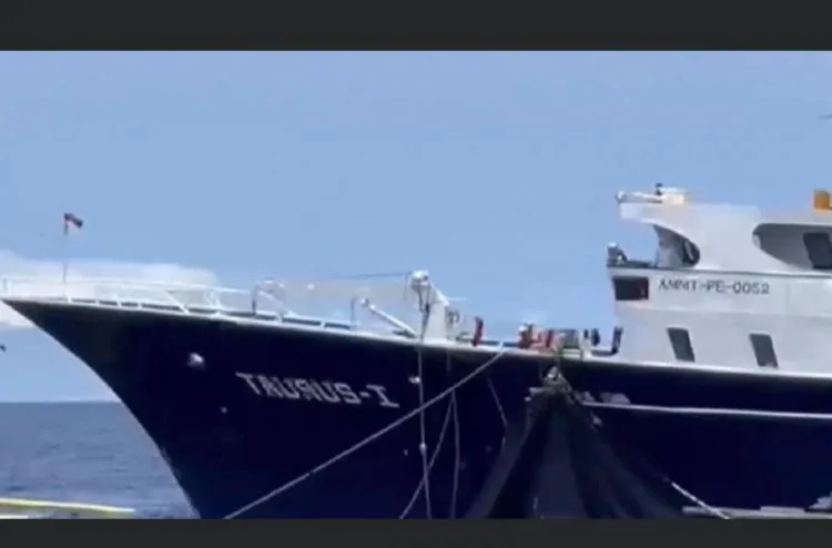 Taurus 1 delfines y pesca ilegal se quemó
