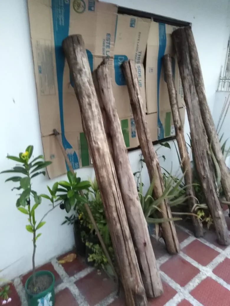 La casa en Calipso