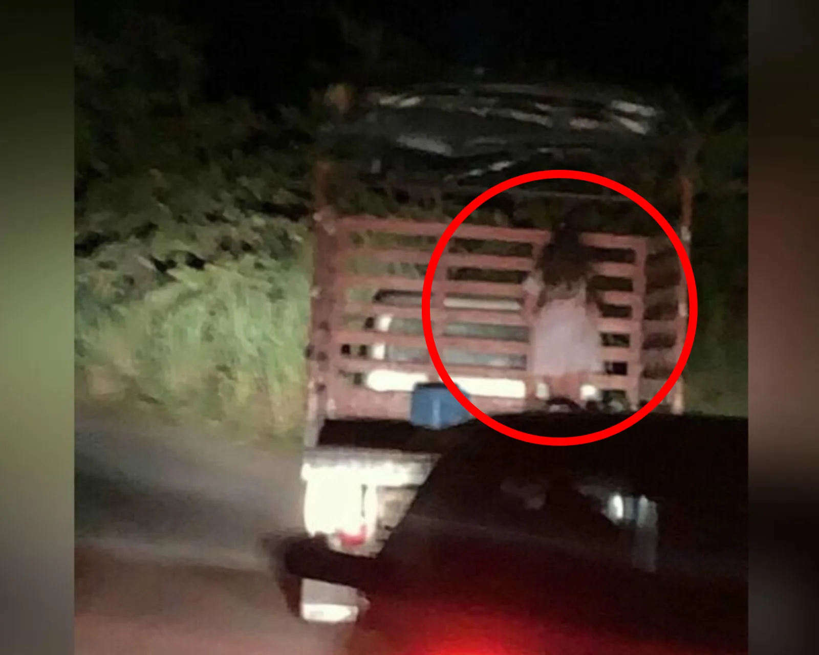 niña Tolima fantasma