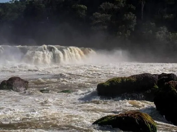 Parque Nacional Natural Yaigojé Apaporis