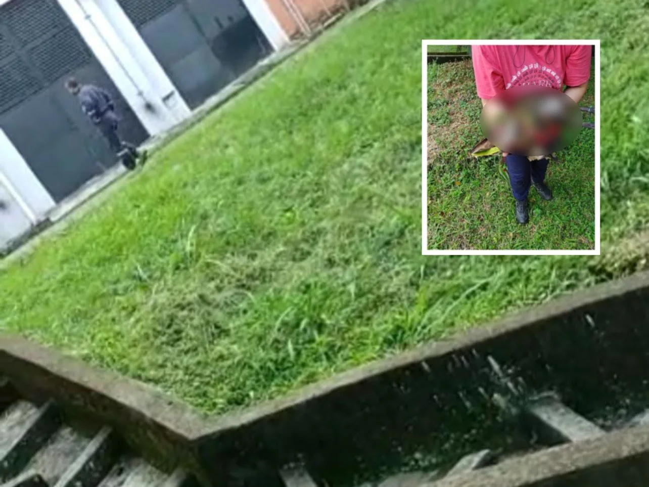 El conflicto en La Buitrera, mataron a un guatín y señalan al trabajador de una empresa de atacarlos