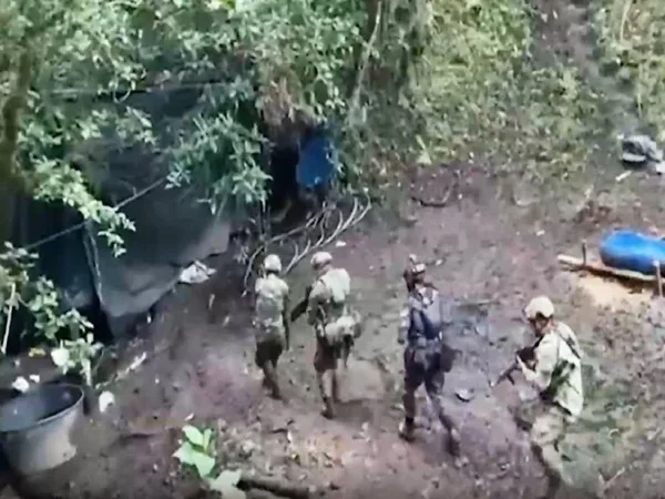 Ahora fue en Sotomayor: destruyeron complejo cocalero con más de dos toneladas de droga
