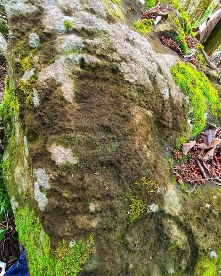 Hallazgo arqueológico Huila
