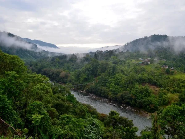 En Nariño denuncian la desaparición de jóvenes indígenas a manos de un grupo armado
