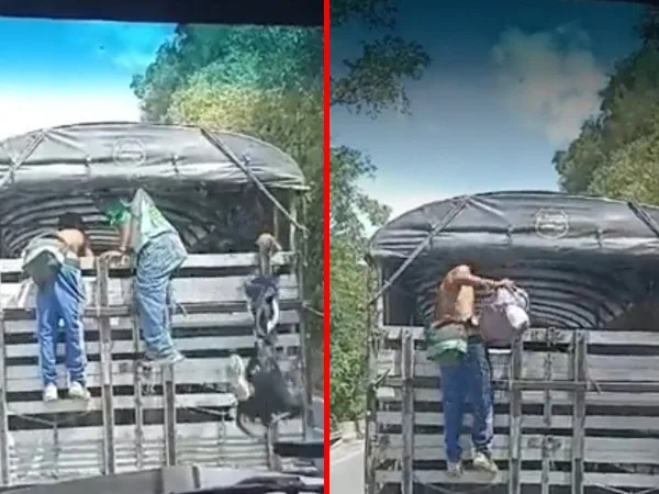"Vea como roban a la gente estos gamines", camionero fue robado en vía de Caldas, mientras conducía
