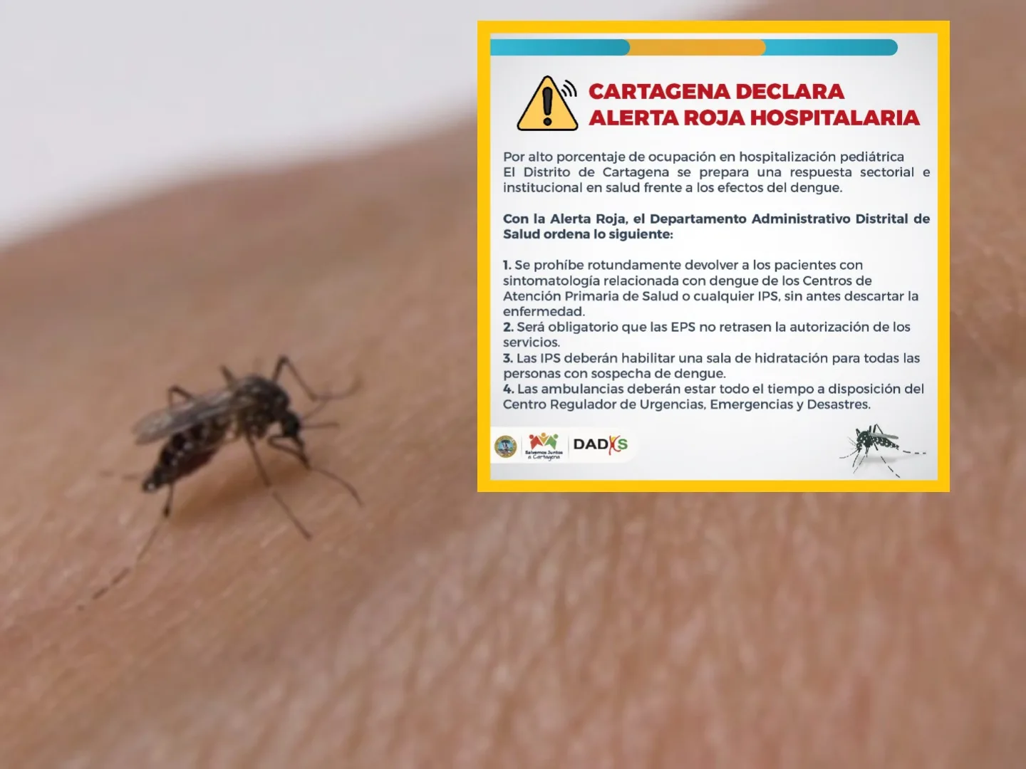 En Cartagena hay alerta roja por el aumento de los casos de dengue