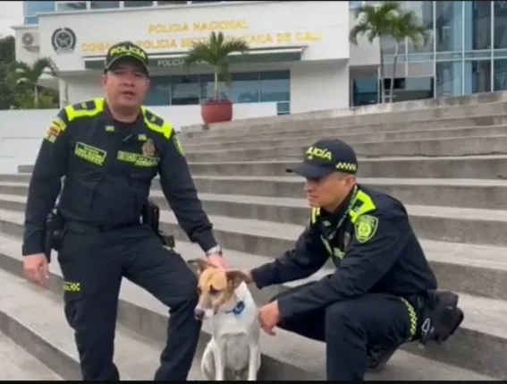 Lagaña policía Cali