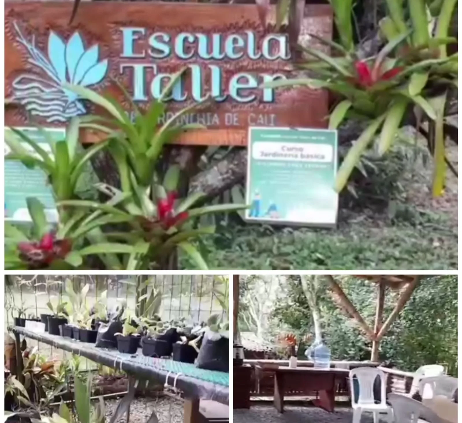 escuela taller de jardinería en Pance