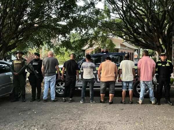 61 cerditos recuperados: Operativo Policial desmantela banda de ladrones en Rio Frio Valle