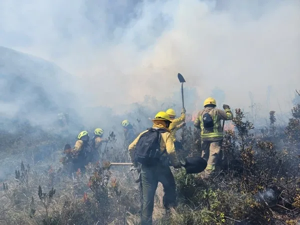 Le piden al Gobierno Nacional que disponga de helicóptero para atender incendio en el Galeras