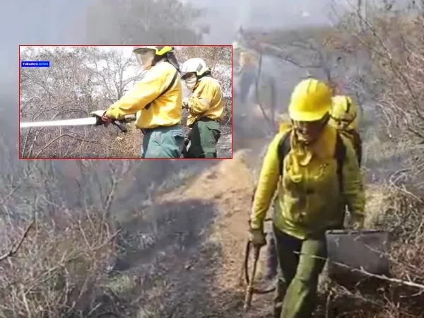 Pasto: más de 100 incendios forestales en los últimos dos meses; Bomberos trabajan toda la noche