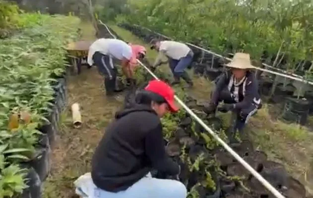 jardín más gran de Colombia