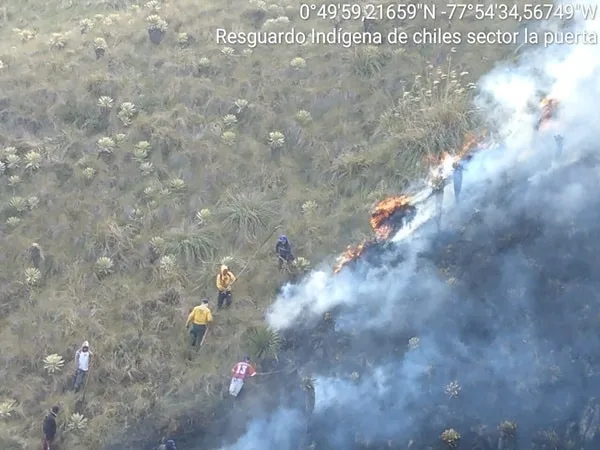 De acuerdo con organismos de socorro en Cumbal, varias especies como lagartos, conejos y ratones resultaron afectadas por el incendio en zona de páramo. 
