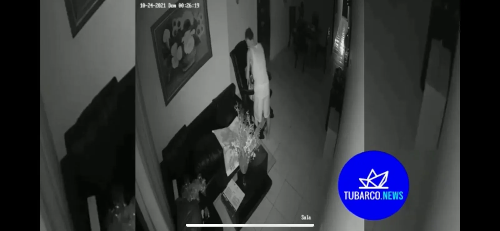 el ladrón recorrió la casa