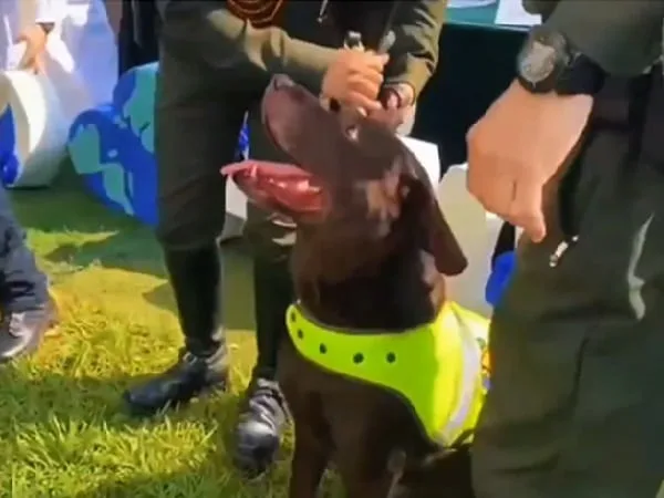 Perro antiexplosivos de la Policía se jubiló.