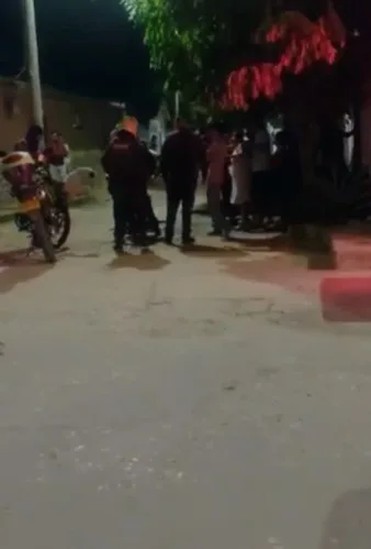perro