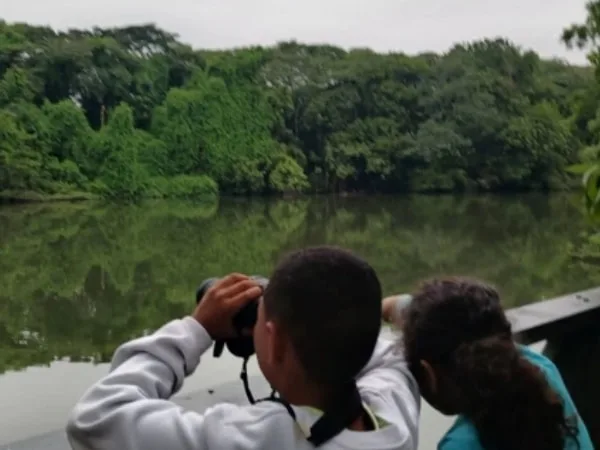 Lago de las Garzas será escenario de una jornada educativa para despedir a aves migratorias en su paso por Cali