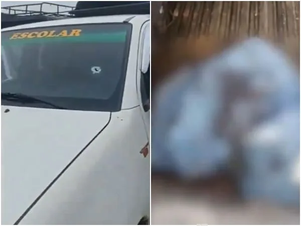 Las disidencias de las FARC han sido señaladas del ataque a un bus escolar en Piamonte, Cauca